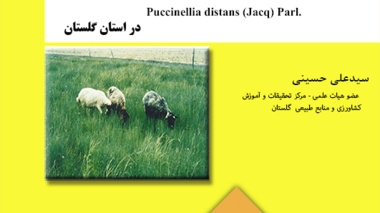 دستورالعمل فنی 1