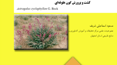 دستورالعمل فنی 9