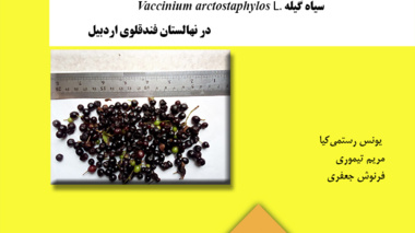 دستورالعمل فنی 10