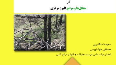 دستورالعمل فنی 11