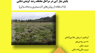 دستورالعمل فنی 13