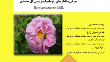 دستورالعمل فنی 14