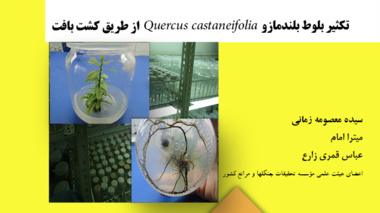 دستورالعمل فنی 16