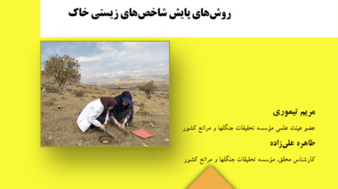 دستورالعمل فنی 17