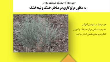 دستورالعمل فنی 18