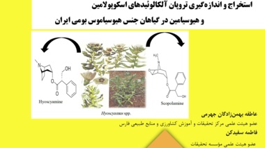 دستورالعمل فنی 19