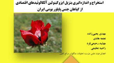دستورالعمل فنی 20