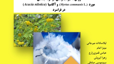 دستورالعمل فنی 21