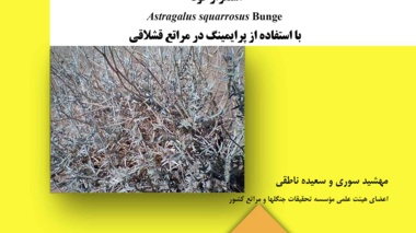 دستورالعمل فنی 23