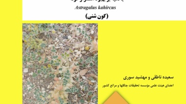 دستورالعمل فنی 26