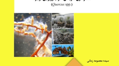 دستورالعمل فنی 28