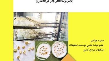 دستورالعمل فنی 29