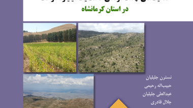 تک‌نگاشت 4