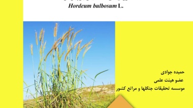 دستورالعمل فنی 30