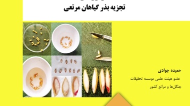 دستورالعمل فنی 31
