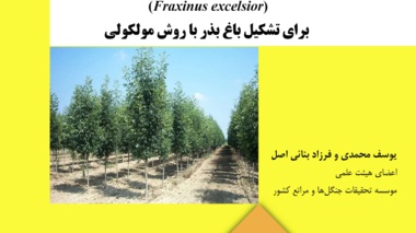 دستورالعمل فنی 32