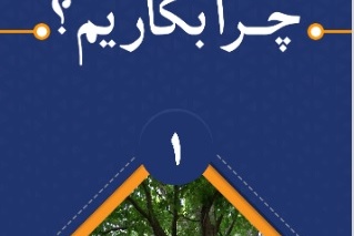 بروشور 1
