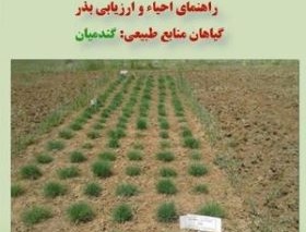 دستنامه فنی 1