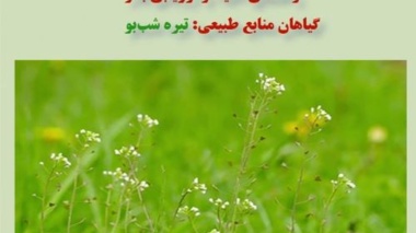 دستنامه فنی 2