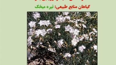 دستنامه فنی 3