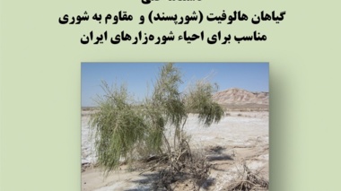 دستنامه فنی 7