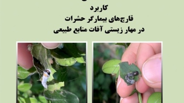دستنامه فنی 10