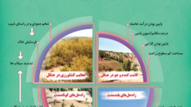 توسعه زراعت زیراشکوب جنگل، تشدید فرسایش و سیلاب‌ها
