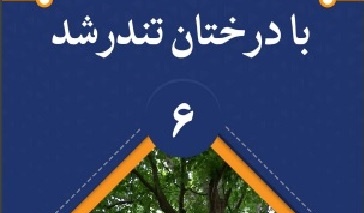 بروشور 6