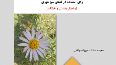 نشریه فنی 97