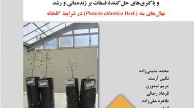 نشریه فنی 98