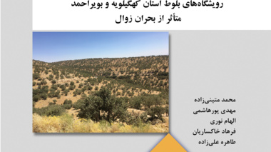 نشریه فنی 96