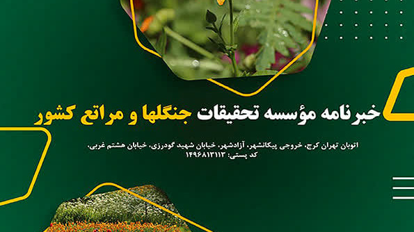 خبرنامه شماره 544