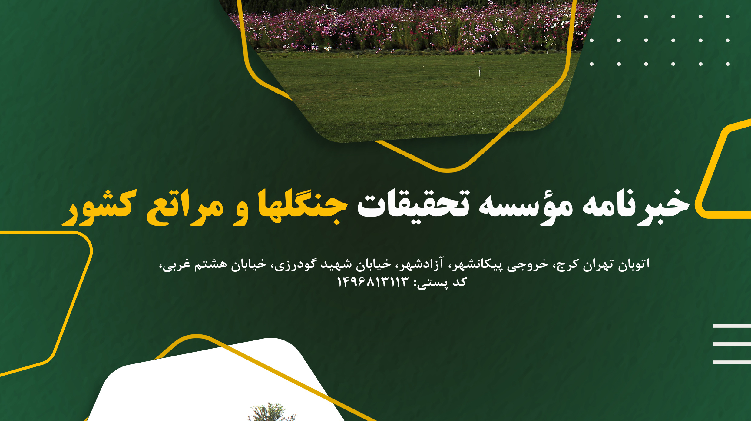 خبرنامه 546