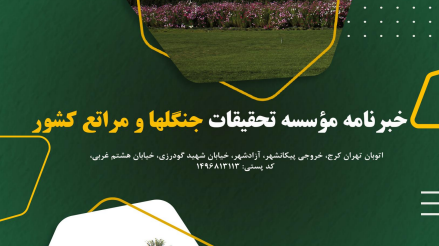 خبرنامه شماره 545