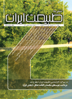 شماره ۵۱