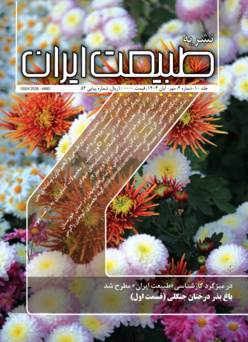 شماره 53