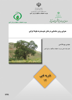 نشریه فنی 12