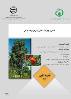 نشریه فنی 13