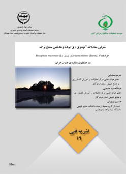 نشریه فنی 19
