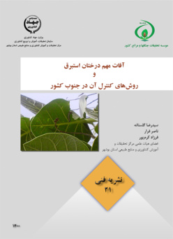 نشریه فنی 21