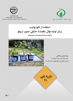 نشریه فنی 31