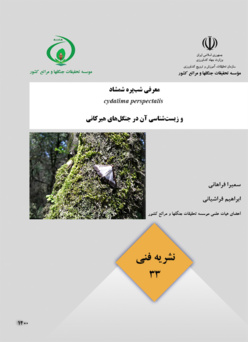 نشریه فنی 33