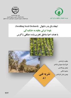 نشریه فنی 81