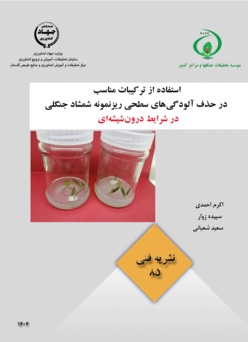 نشریه فنی 85