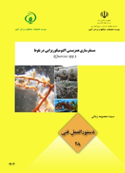 دستورالعمل فنی 28