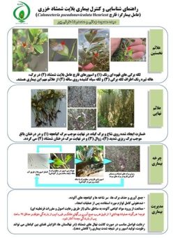 راهنمای شناسایی و کنترل بیماری بلایت شمشاد خزری