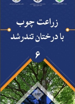 بروشور 6