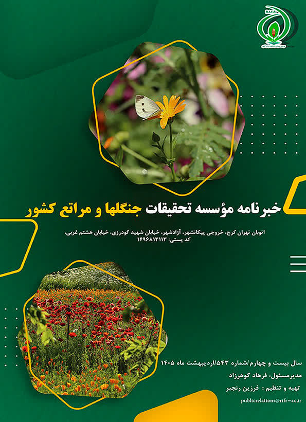 خبرنامه شماره 544