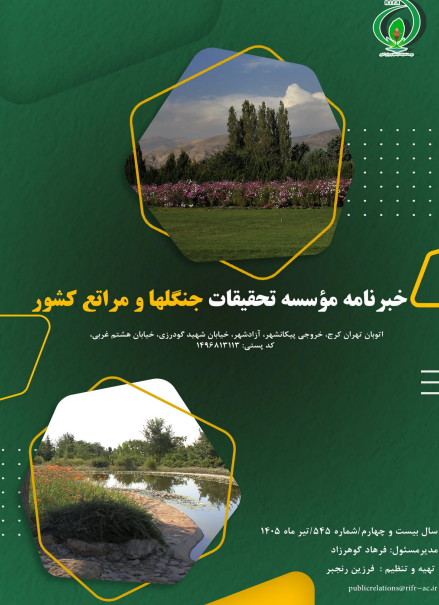خبرنامه شماره 545
