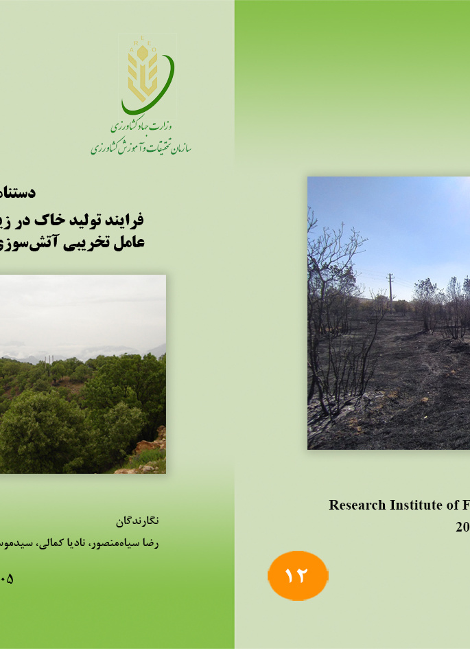 دستنامه فنی 12